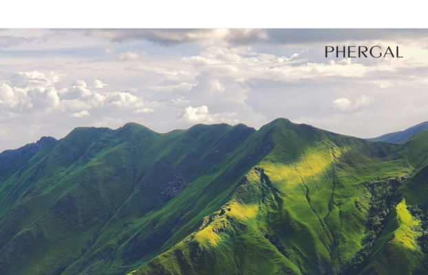 Naturtint, our market-leading permanent hair color, has arrived in Venezuela.