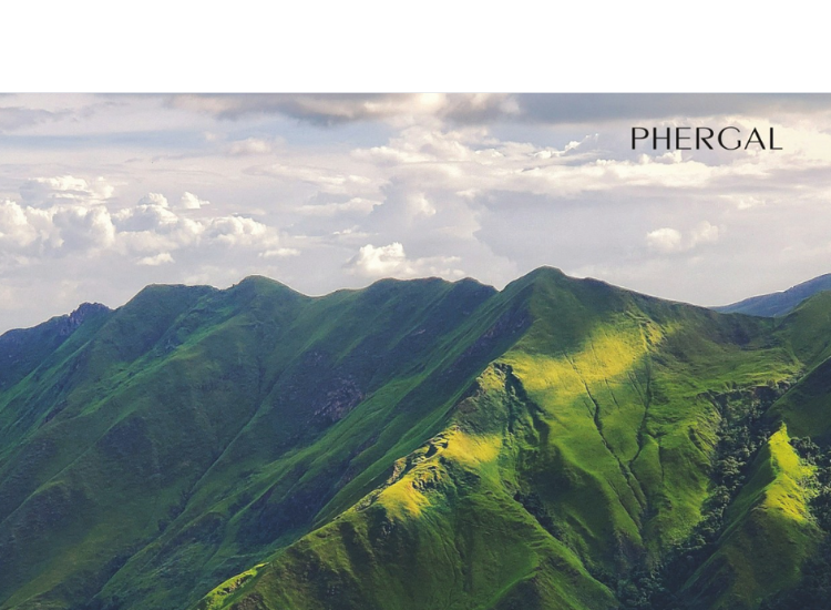 Naturtint, our market-leading permanent hair color, has arrived in Venezuela.